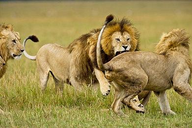 《泰坦之旅2》新实机演示 深入了解游戏核心系统