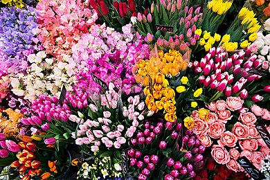 生存游戏《夜莺》将在2月2日开始为期三小时的快速压力测试